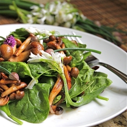 Warm Mushroom Spinach Salad