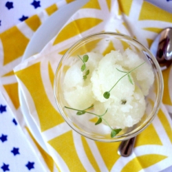 Lime, Mint and Mojito Sorbet