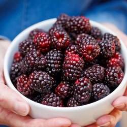 Berry Cobbler with Boysenberries