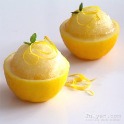 Lemon Sorbet