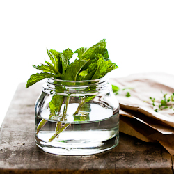 An Indoor Culinary Herb Garden