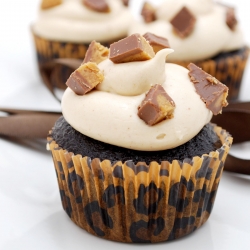 Chocolate & Peanut Butter Cupcakes