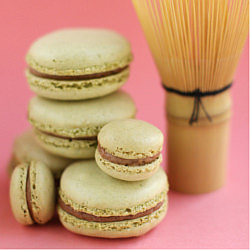 Nut-Free Macarons