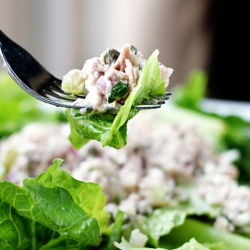 Tuna Salad with Dill