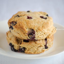 Blueberry Biscuit