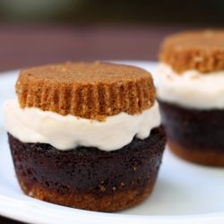 S’mores Cupcake Ice Cream Sandwich