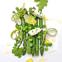 Asparagus and Ricotta Noodles