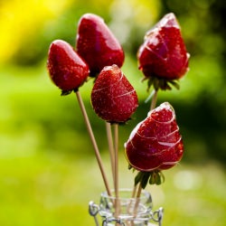 Candied Strawberries