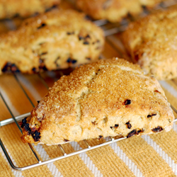 Dried Cherry Buttermilk Scones