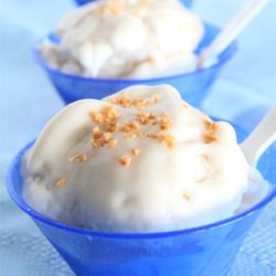 Vegan Coconut Gelato