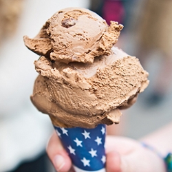 Chocolate Moose Ice Cream