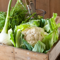 Cauliflower and Fennel Soup