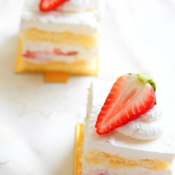 Strawberry Shortcake