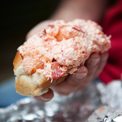 Lobster Rolls