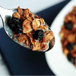 Dried Blueberry Granola