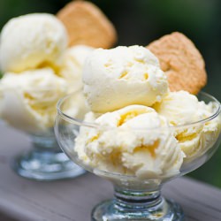 Lavender Honey Ice Cream