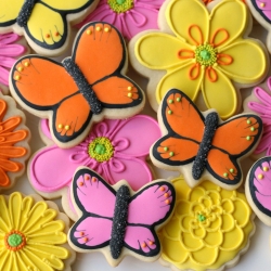 Beautiful Butterfly Cookies