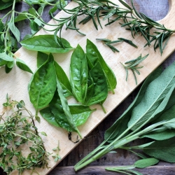 How to Preserve Your Herbs