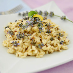 Risotto & Lavender Flowers