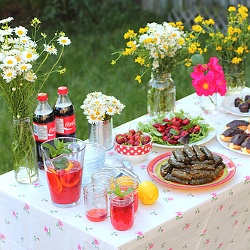 Strawberry Picking Party