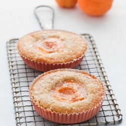 Apricot Tart