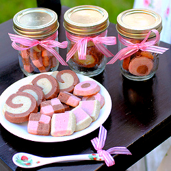 Checkerboard Cookies