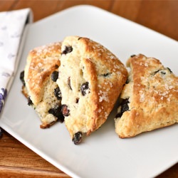 Fresh Blueberry Scones