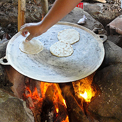 Fresh Tortillas