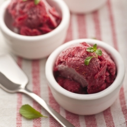 Raspberry Sorbet