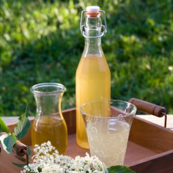 Elderflower Syrup