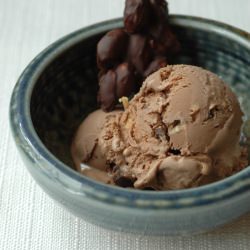 Chocolate Peanut Butter Ice Cream