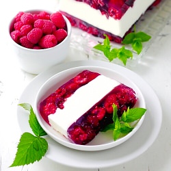 Raspberry Yogurt Terrine