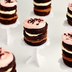 Neapolitan Cupcakes