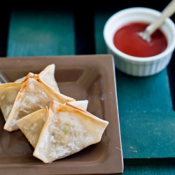 Baked Wonton Wraps