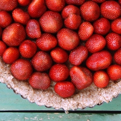 Strawberry Tart