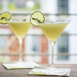 Basil Gimlets