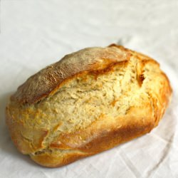 Crusty and Soft Bread