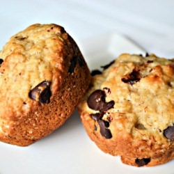 Chocolate Macadamia Nut Muffins