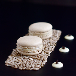 Sunflower Seed Macarons