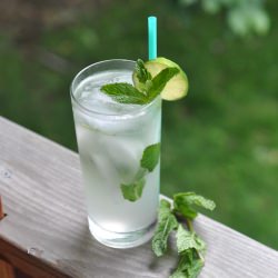 Rachel’s Amazing Mojitos