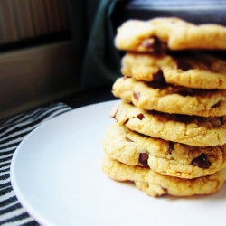 Chewy Chocolate Chip Cookies