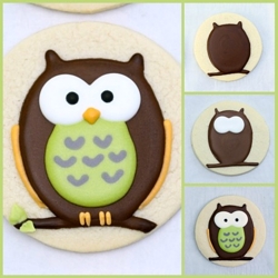 How to Make Owl Decorated Cookies