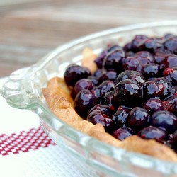 Fresh Blueberry Pie