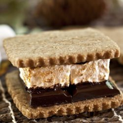 Sweet and Sara Marshmallow S’mores