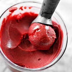 Red Rose Raspberry Sorbet