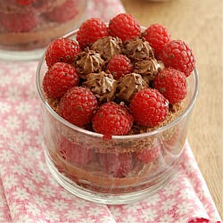 Raspberry and Chocolate Tiramisu