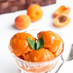 Apricot Sorbet