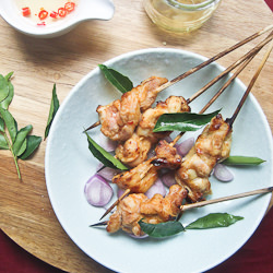 Thai Chicken Satay