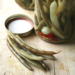 Spicy Pickled Dilly Beans