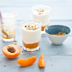 Apricots Honey Panna Cotta